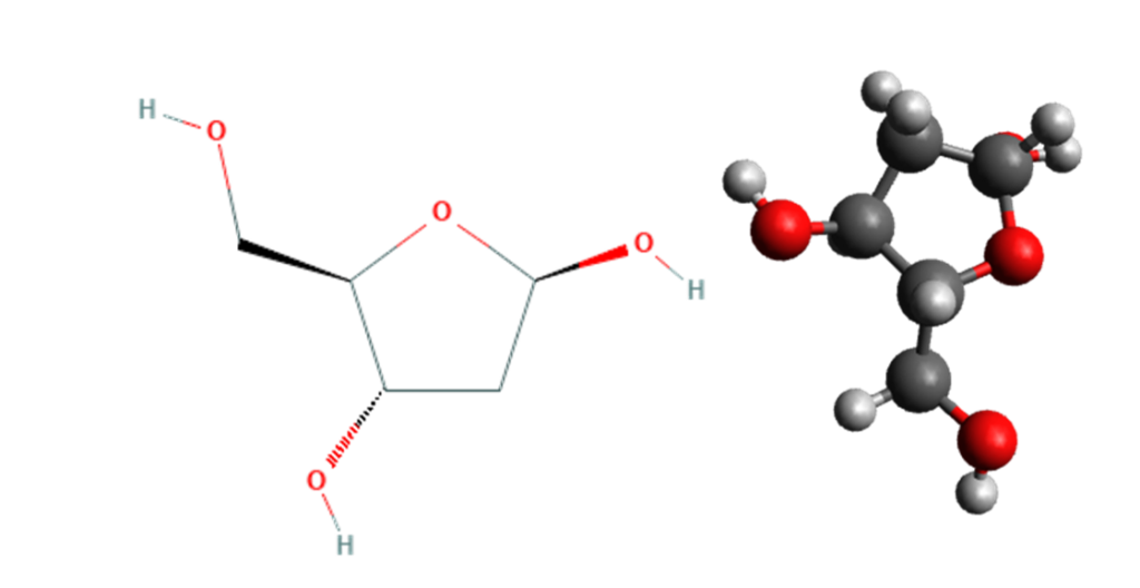 Рандеву молекула